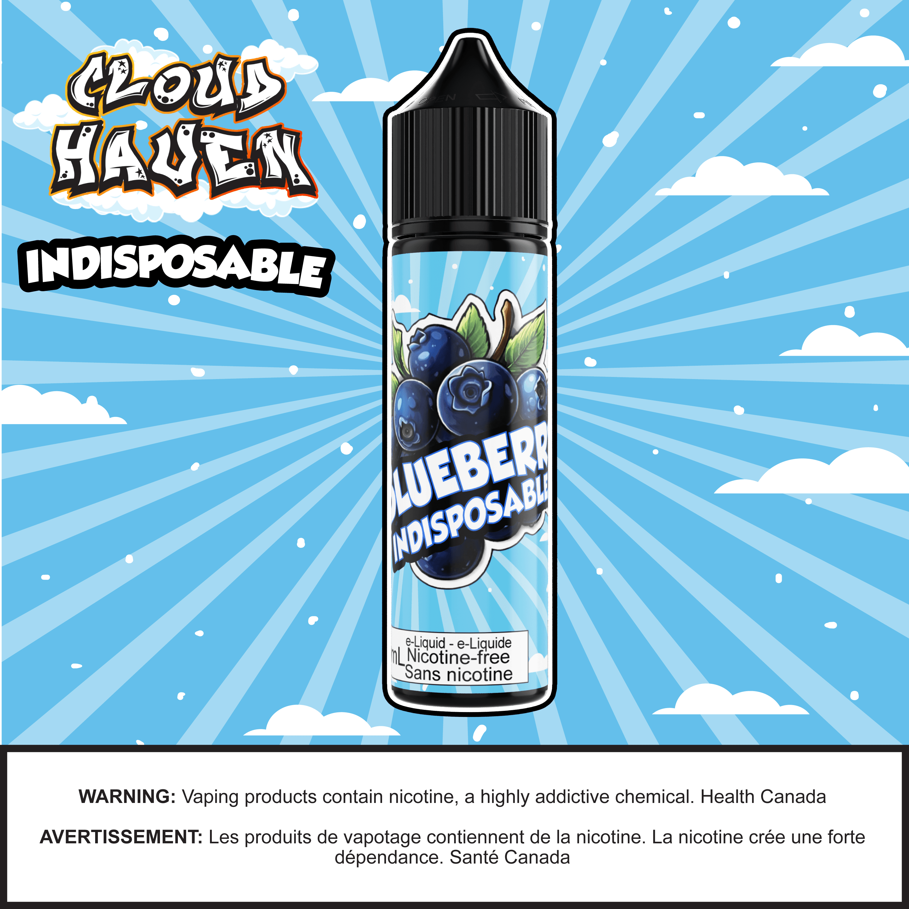 Cloud Haven - INDISPOSABLE Blueberry salt nicotine e-liquid bottle