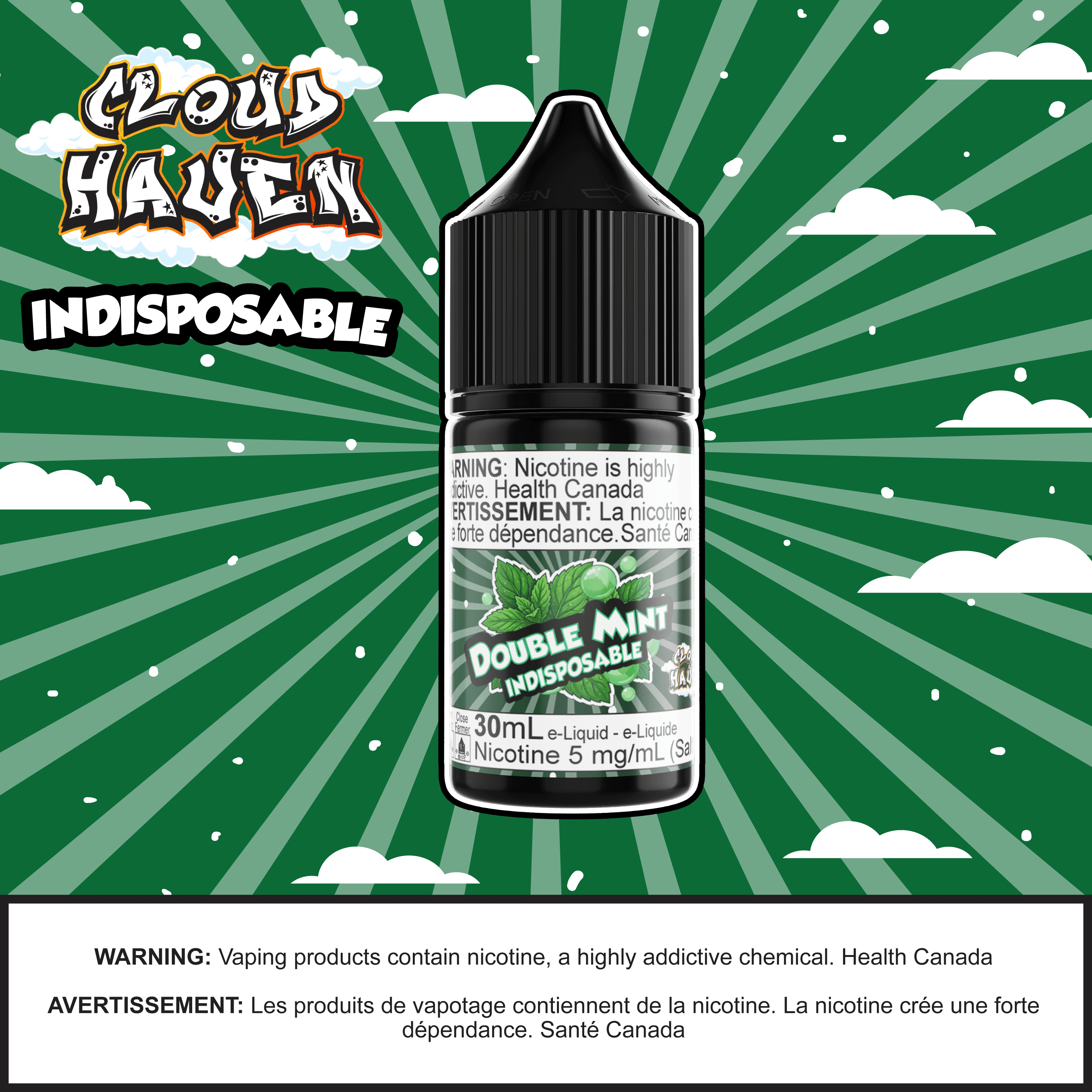 Cloud Haven - INDISPOSABLE Double Mint