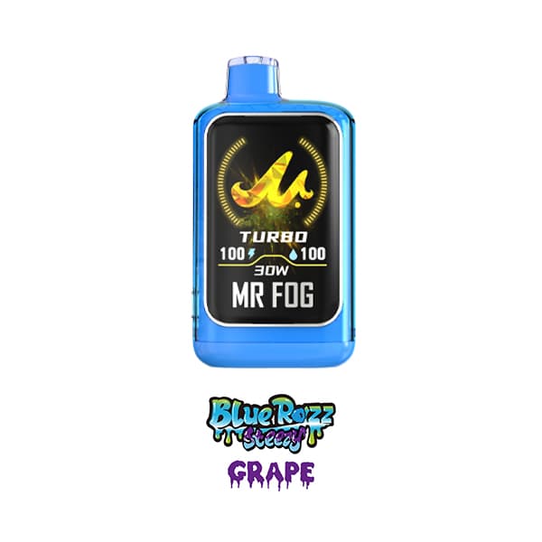 Mr. Fog - Nova - BlueRazz Steezy Grape product image